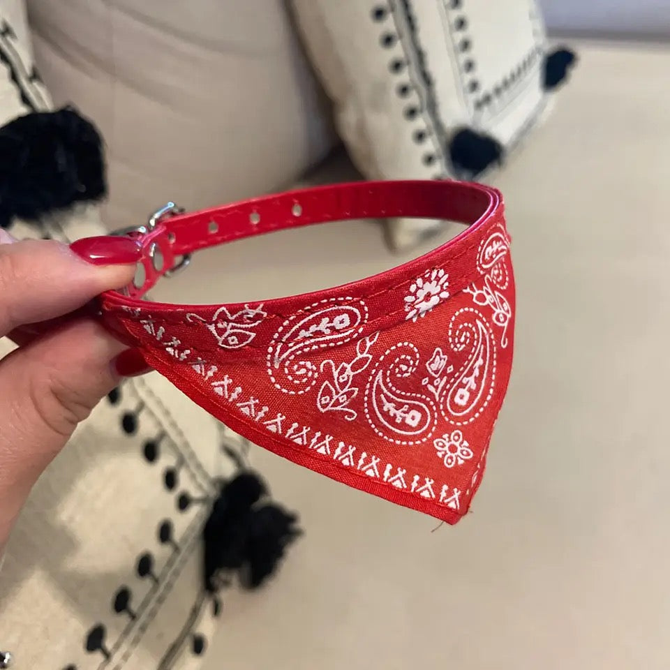 Bandana Collier Animal
