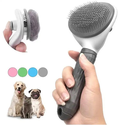 Brosse Poils Animaux