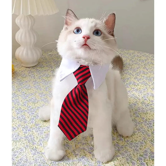 Cravate Chic pour Animaux