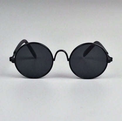 Lunettes de Soleil pour Chat