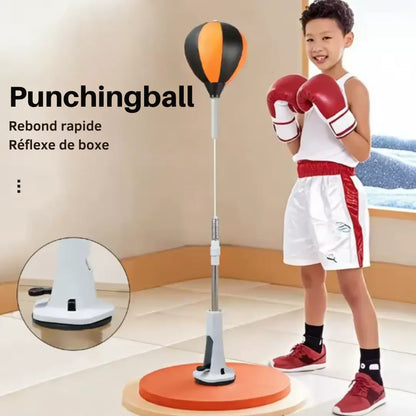 Punching Ball Boxe