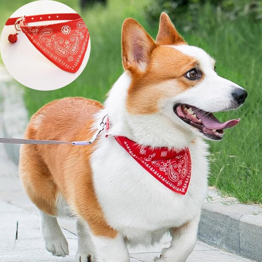 Bandana Collier Animal