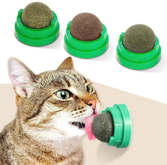 Boule Herbe à Chat