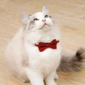 Collier Nœud Papillon pour Animaux
