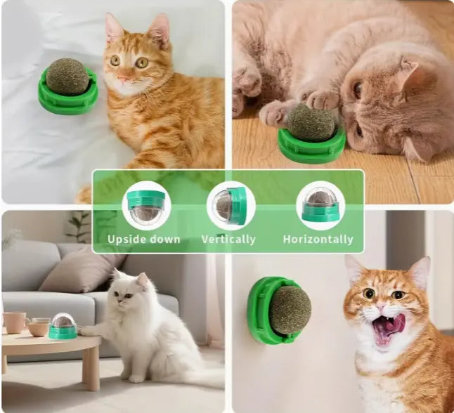 Boule Herbe à Chat