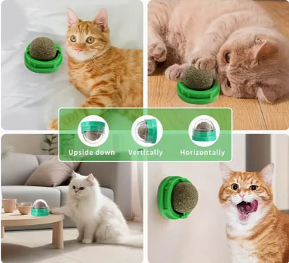 Boule Herbe à Chat