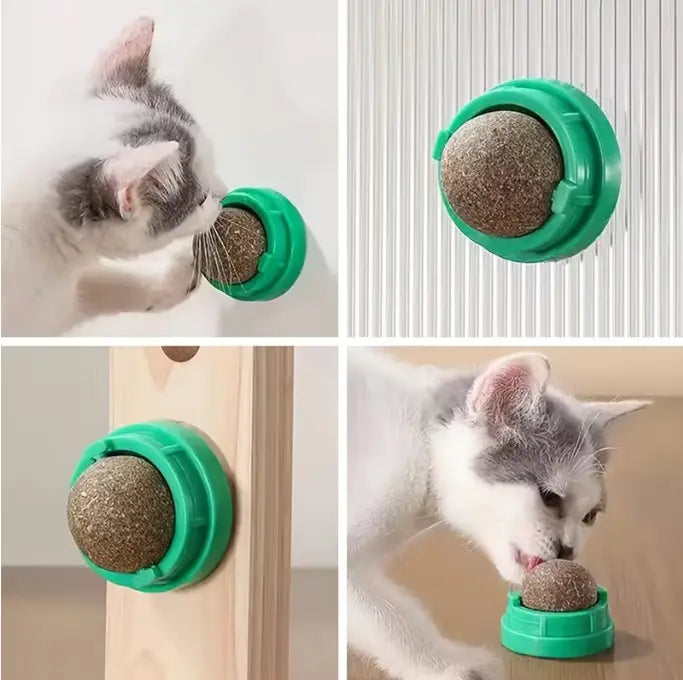 Boule Herbe à Chat